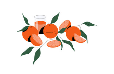 Fresh Orange Juice Squeezed in Glass with Fruit and Leafy Stem Vector Composition
