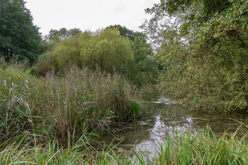 Spring Pond from the spring Hide at Fowlmere Nature Reserve, Cambridgeshire