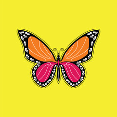 butterfly illustration