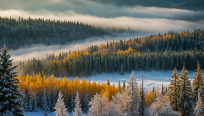 Obraz premium Spruce landscape across the seasons and the vibrant palette of autumn foliage as it contrasts with the deep green of the evergreens, or the pristine beauty of a winter scene blanketed in snow 