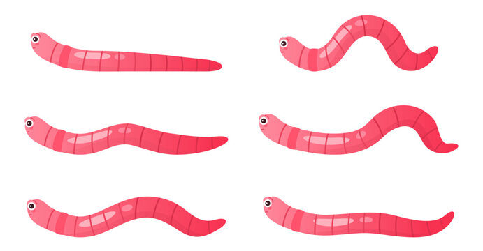 Earthworms crawl set, sequence game animation. Animated stages of walking funny pink worm character with cute comic face, action movement in soil of baby earthworm cartoon vector illustration