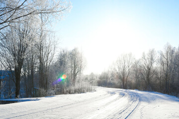 Snowy road. The sun is peeking out among the trees. Winter.