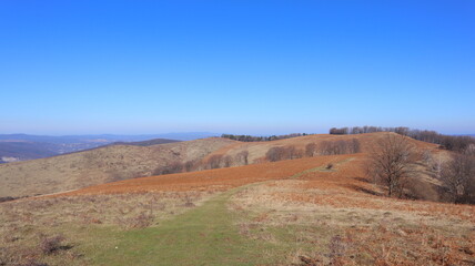 landscape in the mountains
