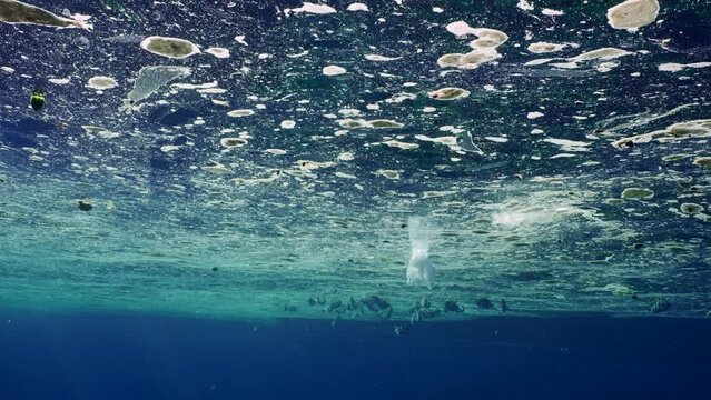 Fish feeds on polluted surface of Ocean covered in plastic and other debris. Plastic and other trash drifting in fatty oily layer which tropical fish swims. Plastic pollution of the Ocean, slow motion