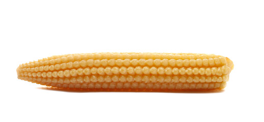 Fresh baby boiled corn for salad vegetable isolated on white