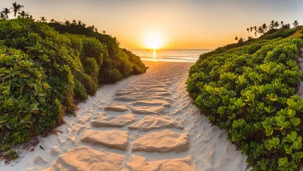 Fototapete Nordsee, Niederlande Beautiful sunrise over the sea with stone path and green bushes.