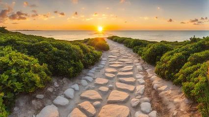 Afwasbaar Fotobehang Noordzee, Nederland Beautiful sunrise over the sea with stone path and green bushes.