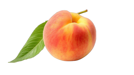 closeup 2 fresh Peach png / transparent