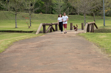 young couple walking their dog in the park in summer