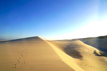 flying sand, wind drifts on the high sandy dune landscape near Valdevaqueros during sunset, Tarifa, Cadiz, Andalusia, Spain, fantastic landscape, tourism, travel