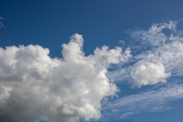 Blue sky with white clouds with ears on a warm spring day.