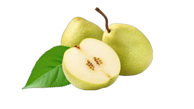Asian pear png / transparent