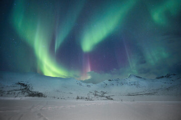 Aurora am Polarkreis in winterlicher Berglandschaft