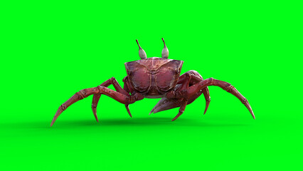 Walking sea Crab. 3d rendering.