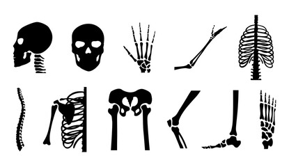 Human bones orthopedic and skeleton icon set, bone x-ray image of human joints, anatomy skeleton flat design illustration - obrazy, fototapety, plakaty