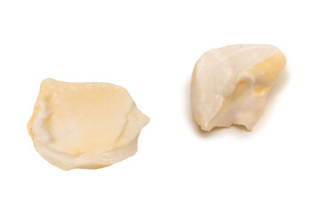 White sauce splashes isolated on white background.