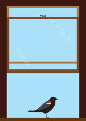 Redwing Blackbird in Window
