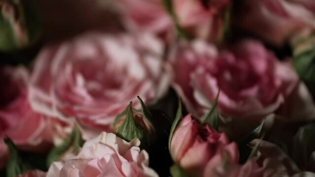 bouquet of pink roses in close up. rotation. elegant wedding floral background, Valentine's Day concept. delivery bouquets flowers. gift to beloved woman. selective focus, shallow depth field.