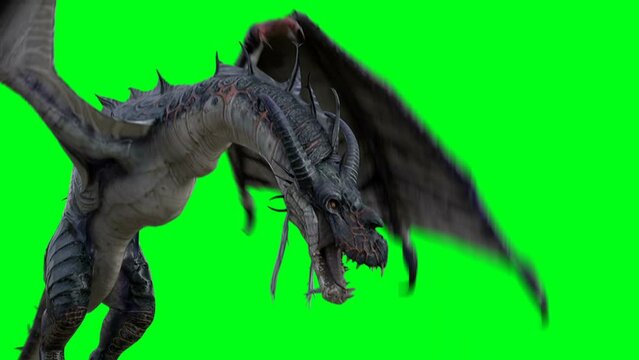 flying horror dragon. Fantasy concept. 4K green screen isolate