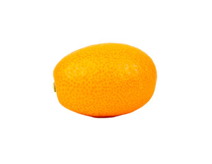 Fresh fruit kumquat isolate