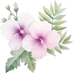 watercolor illustration decorative arrangement of white and pink Hibiscus syriacus and green leaves on transparent background. Florist bouquet. Korean National Day, Memorial Day, and Constitution Day.