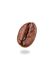 Roasted coffee bean isolate