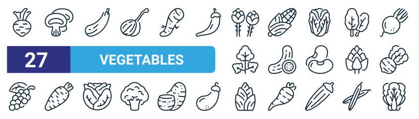 set of 27 outline web vegetables icons such as kohlrabi, mushroom, zucchini, corn, cucumber, wasabi, bamboo shoots, bok choy vector thin line icons for web design, mobile app. - obrazy, fototapety, plakaty