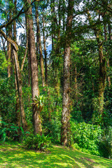 El Arenal National Park, Costa Rica