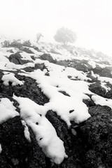 Between trees, rocks and clouds