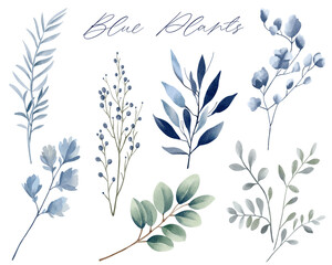 Set of watercolor plants in blue color. Delicate watercolor botanical elements for wedding invitations, save the date, thank you, greeting card, poster. Leaves elements.