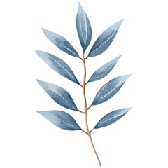 Watercolor plant. Blue color. Delicate watercolor botanical element for wedding invitations, save the date, thank you, greeting card, poster. Leaves elements.