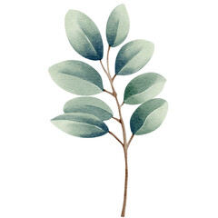 Obraz premium Watercolor plant. Blue color. Delicate watercolor botanical element for wedding invitations, save the date, thank you, greeting card, poster. Leaves elements.