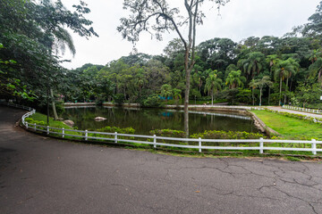 SÃO PAULO, SP, BRAZIL - FEBRUARY 03, 2024: Smaller lake in the wooded Alberto Lofgren State Park, better known as Horto Florestal (forest garden).