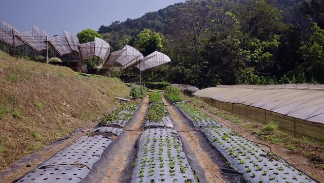 View from above of a greenhouse in the middle of a mountain