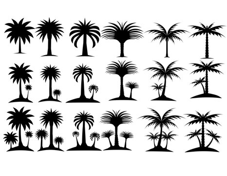 palm tree silhouette icon. simple vector illustration. Design of palm trees.