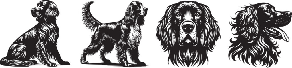 Setter breed dog, full silhouette black and white vector - obrazy, fototapety, plakaty