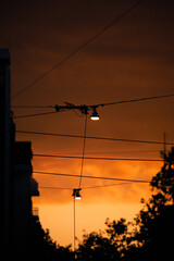 Sunset in the city, orange color, street wires, street light bulbs