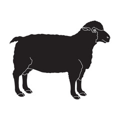 Sheep icon