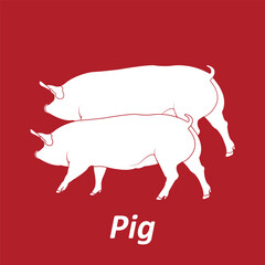 Pig icon vector