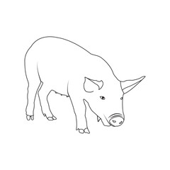 Pig icon vector