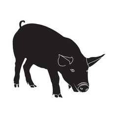Pig icon vector