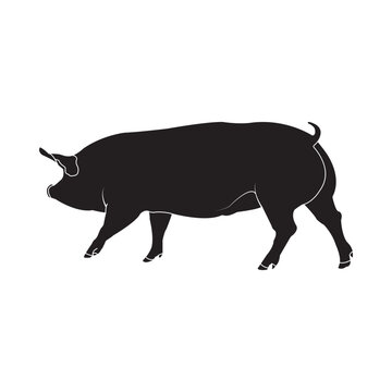 Pig icon vector