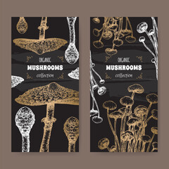 Two labels with parasol mushroom and enokitake mushroom sketch on black. Edible mushrooms series. - 739339696