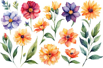 set of colorful watercolors flowers 