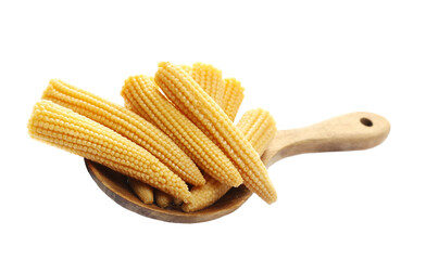 Fresh boiled baby corn cobs in wooden spoon isolated on white