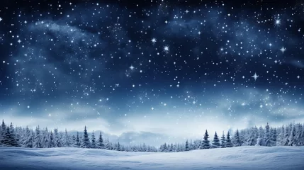 Foto op Canvas A beautiful winter landscape with snow covered trees and a starry night sky © Molostock
