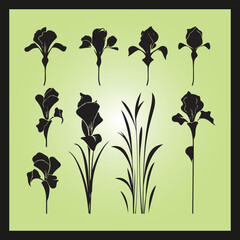 Iris flower silhouette set