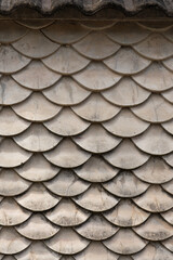 Close-up concrete wall designed resemble fish scales, reminiscent of Japanese koi fish artwork, known as Guotaku. vibrant sunlight casts bold shadows. fusion of modern design, traditional inspiration