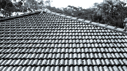 black and white roof