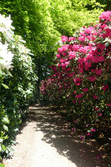 Rhododendronparken Bronderslev